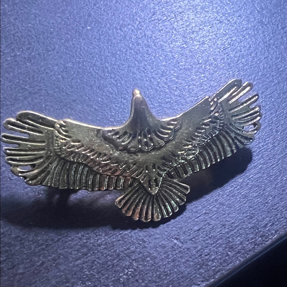 Stylish Gold Bird 🦅 hair clip . Small size. 3,4 inches.